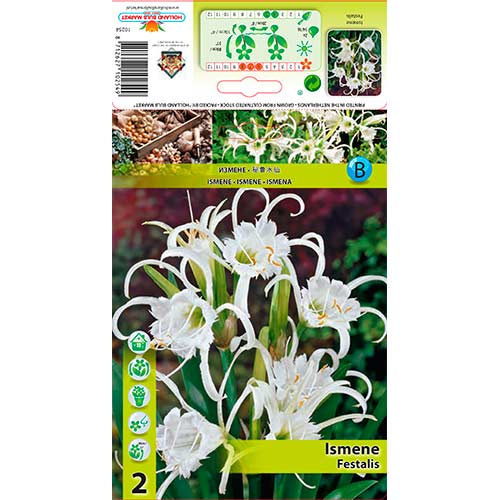 Ismene Festalis interface.art Bild 1 Ismene Festalis interface.image 1 interface.art 76294