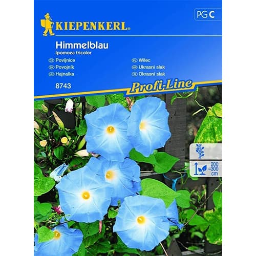Prunkwinde Himmelblau interface.art Bild 1 Prunkwinde Himmelblau interface.image 1 interface.art 86269