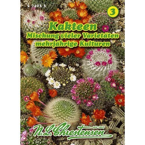 Kakteen Mischung vieler Varietäten interface.art Bild 1 Kakteen Mischung vieler Varietäten interface.image 1 interface.art 96432