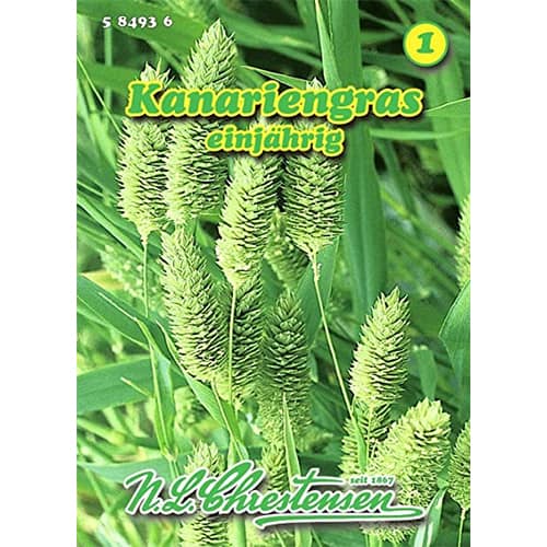Kanariengras interface.art Bild 1 Kanariengras interface.image 1 interface.art 87814