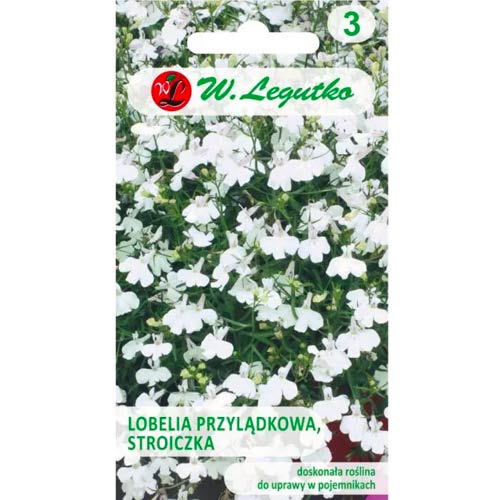 Kap-Lobelie (Stroichka) weiß Legutko interface.image 1 interface.art 78571