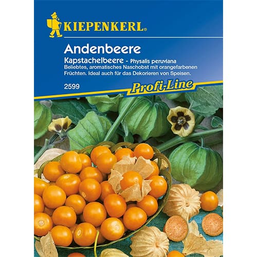 Andenbeere Kapstachelbeere interface.art Bild 1 Andenbeere Kapstachelbeere interface.image 1 interface.art 86239