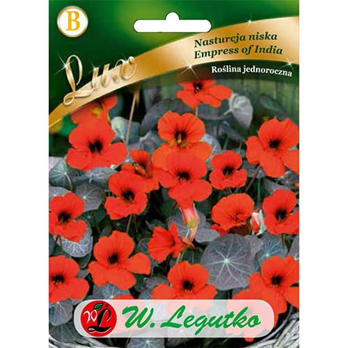 Kapuzinerkresse Empress of India dunkelrot interface.image 1 interface.art 86750