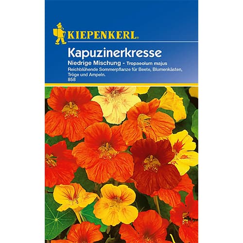 Kapuzinerkresse Niedrige Mischung interface.image 1 interface.art 77397