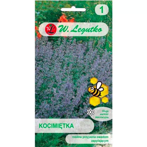 Katzenminze blau-violett Legutko interface.image 1 interface.art 96716