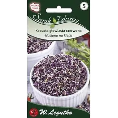 Keimsprossen - Rotkohl interface.art Bild 1 Keimsprossen - Rotkohl interface.image 1 interface.art 86678