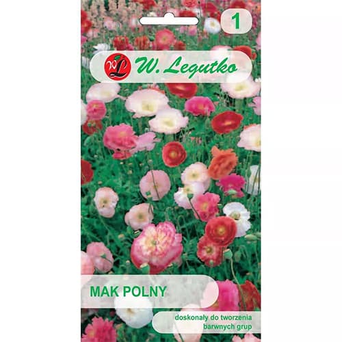 Klatschmohn interface.art Bild 1 Klatschmohn interface.image 1 interface.art 78579