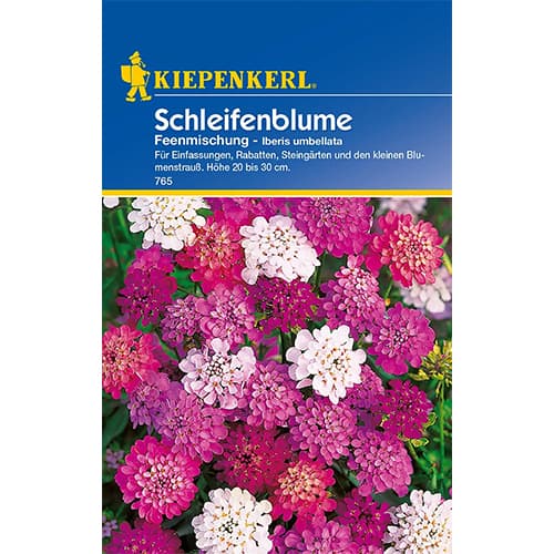 Schleifenblume Iberis Feenmischung interface.art Bild 1 Schleifenblume Iberis Feenmischung interface.image 1 interface.art 77419