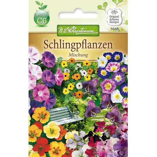 Schlingpflanzen Mischung interface.art Bild 1 Schlingpflanzen Mischung interface.image 1 interface.art 78989