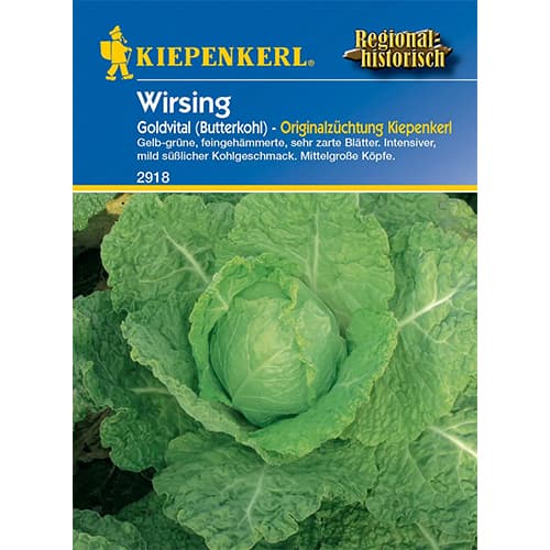 Butterkohl Wirsing Goldvital interface.art Bild 1 Butterkohl Wirsing Goldvital interface.image 1 interface.art 96684