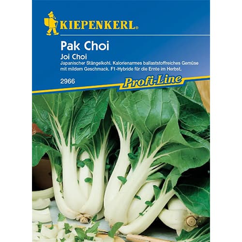 Pak Choi interface.art Bild 1 Pak Choi interface.image 1 interface.art 86488