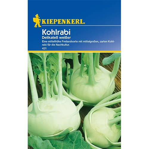 Kohlrabi Delikateß weißer interface.art Bild 1 Kohlrabi Delikateß weißer interface.image 1 interface.art 87784