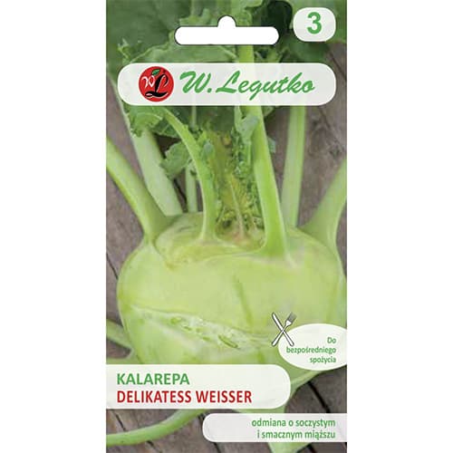 Kohlrabi Delikatess weisser Legutko interface.art Bild 1 Kohlrabi Delikatess weisser Legutko interface.image 1 interface.art 78470