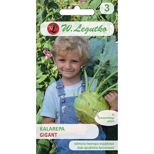 Kohlrabi Gigant Legutko interface.art Bild 1 Kohlrabi Gigant Legutko interface.image 1 interface.art 69478