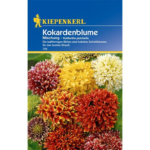 Kokardenblume Mischung Kiepenkerl interface.art Bild 1 Kokardenblume Mischung Kiepenkerl interface.image 1 interface.art 77433
