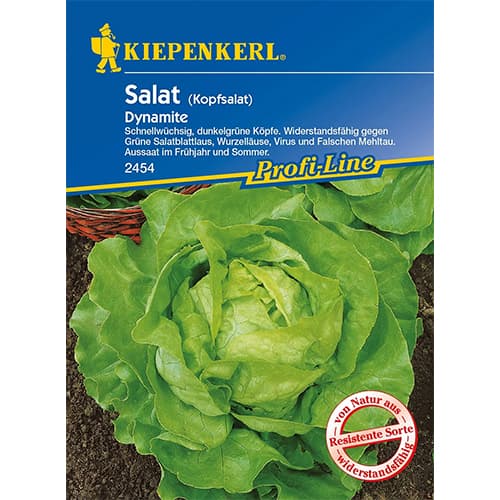 Kopfsalat Dynamite Kiepenkerl interface.image 1 interface.art 86461