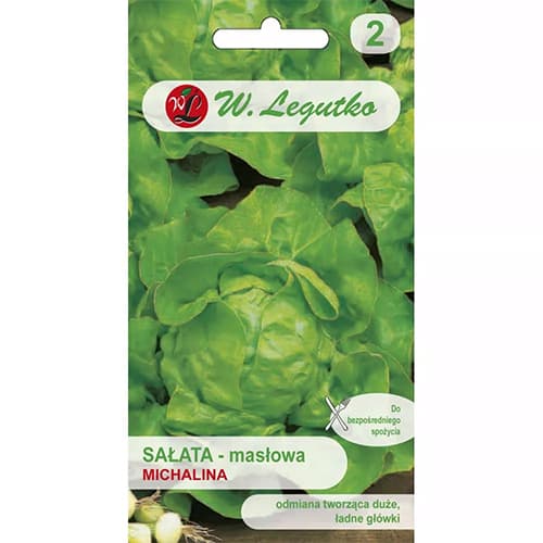 Kopfsalat Michalina interface.art Bild 1 Kopfsalat Michalina interface.image 1 interface.art 86901