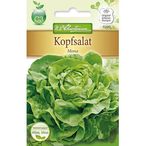 Kopfsalat Mona interface.art Bild 1 Kopfsalat Mona interface.image 1 interface.art 78771