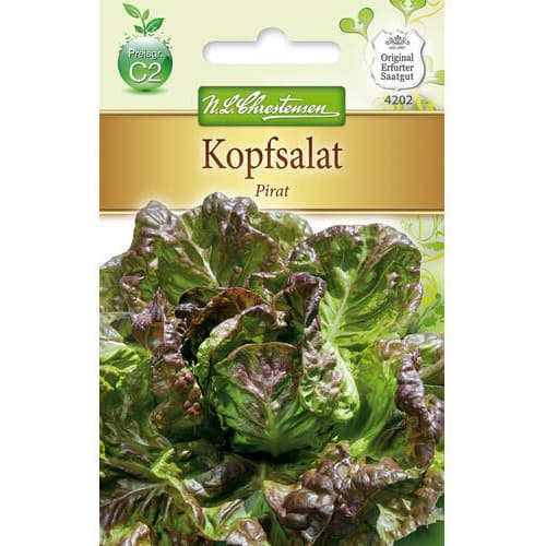 Kopfsalat Pirat interface.art Bild 1 Kopfsalat Pirat interface.image 1 interface.art 78772