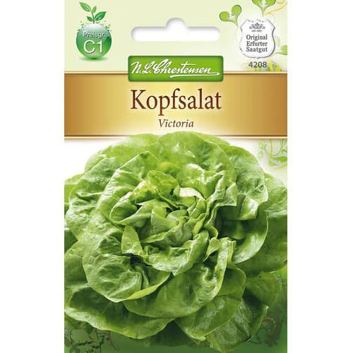 Kopfsalat Victoria interface.art Bild 1 Kopfsalat Victoria interface.image 1 interface.art 78773