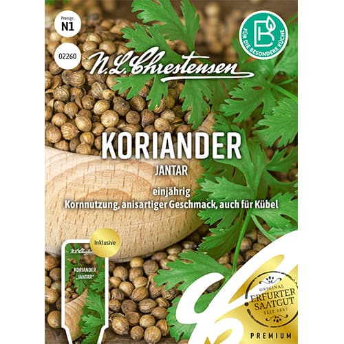 Koriander Jantar interface.image 1 interface.art 87843