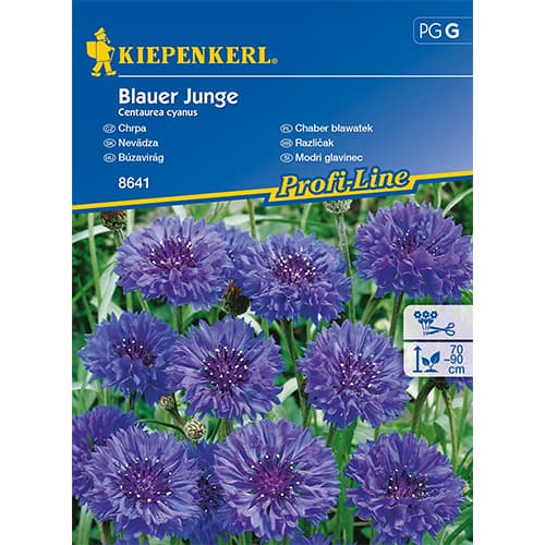Kornblume Blauer Junge interface.art Bild 1 Kornblume Blauer Junge interface.image 1 interface.art 86258