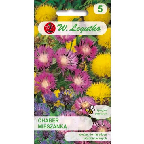 Kornblume violett mischung Legutko interface.art Bild 1 Kornblume violett mischung Legutko interface.image 1 interface.art 86804