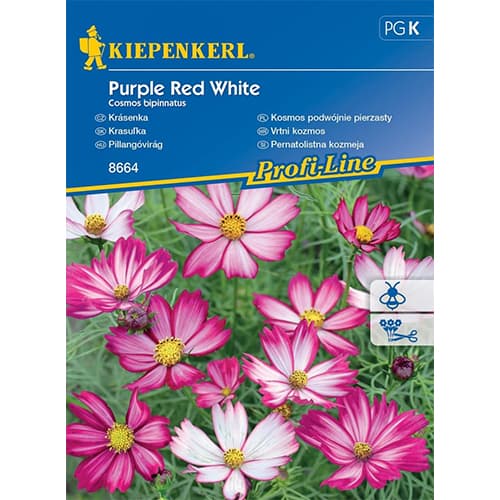 Schmuckkörbchen Purple Red White interface.art Bild 1 Schmuckkörbchen Purple Red White interface.image 1 interface.art 86308