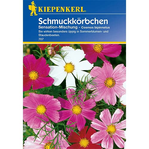 Schmuckkörbchen Sensation Mischung Kiepenkerl interface.image 1 interface.art 77400