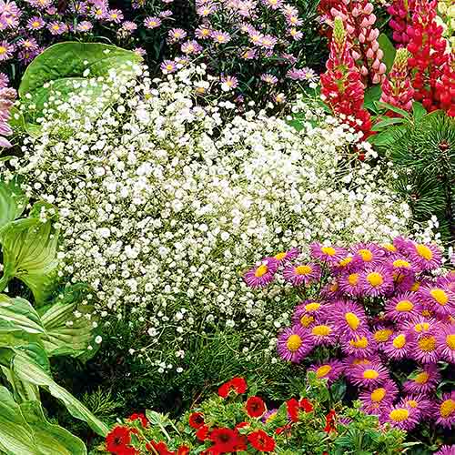 Krähenfüße Weiß interface.image 1 interface.art 96538