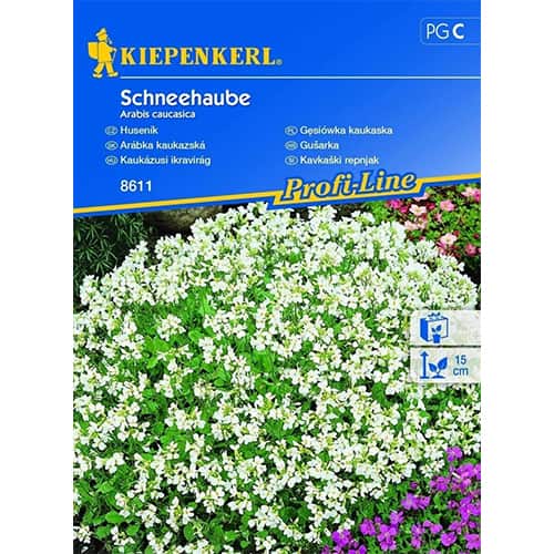 Gänsekresse Schneehaube interface.image 1 interface.art 96511