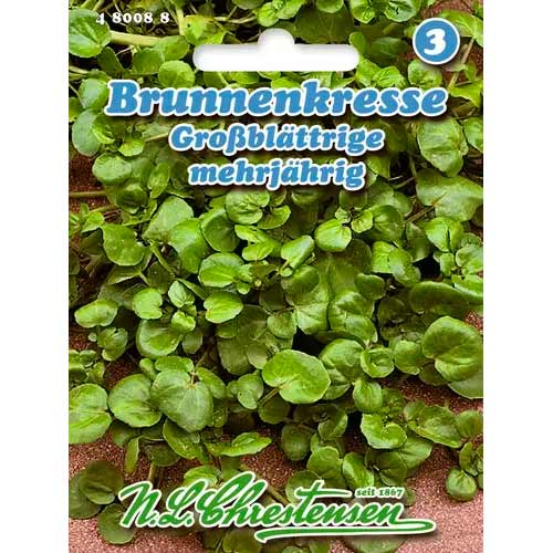 Kresse Brunenkresse Chrestensen  interface.image 1 interface.art 50041