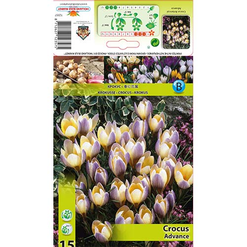 Krokus Advance interface.image 1 interface.art 68060