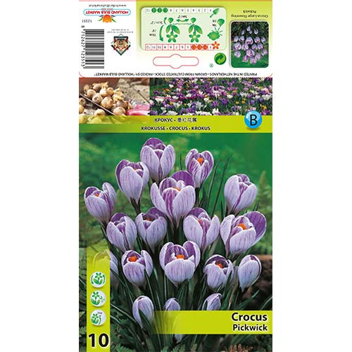 Krokus Pickwick interface.image 1 interface.art 67335