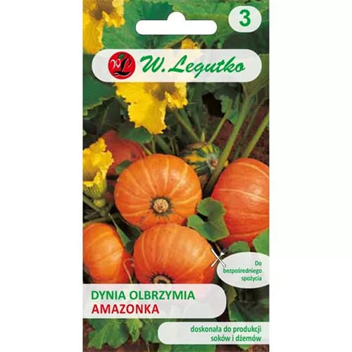 Kürbis Amazonka Legutko interface.image 1 interface.art 69459