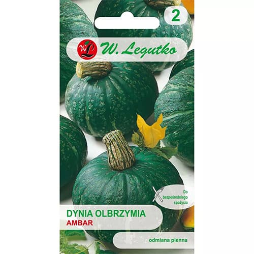 Kürbis Ambar interface.image 1 interface.art 78453