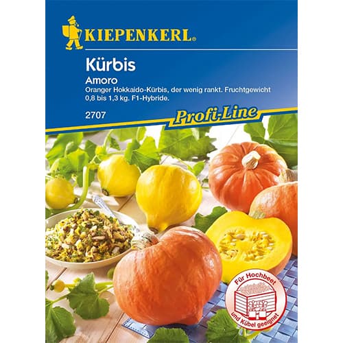 Kürbis Amoro F1 interface.image 1 interface.art 86468