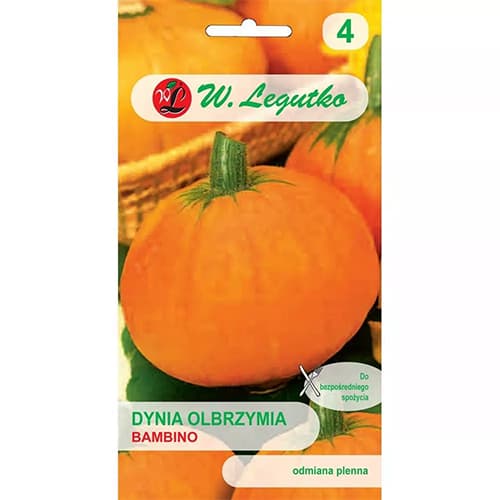 Kürbis Bambino interface.image 1 interface.art 69461