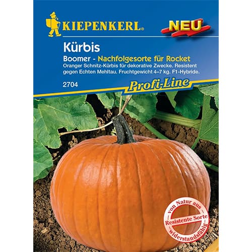 Kürbis Boomer F1 interface.art Bild 1 Kürbis Boomer F1 interface.image 1 interface.art 87786