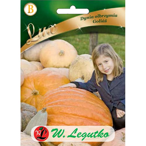 Kürbis Golias interface.art Bild 1 Kürbis Golias interface.image 1 interface.art 86829