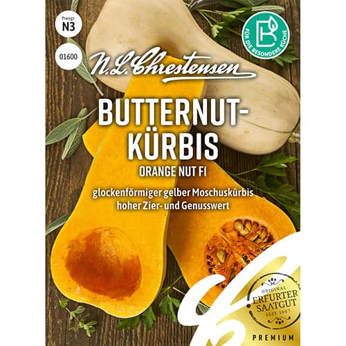 Butternutkürbis Orange Nut F1 interface.art Bild 1 Butternutkürbis Orange Nut F1 interface.image 1 interface.art 86033