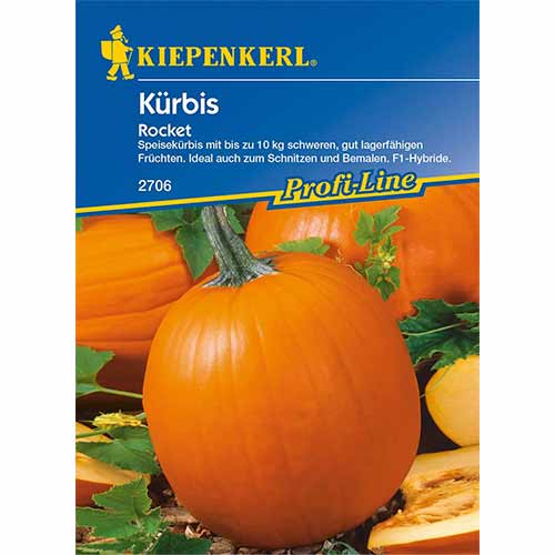 Kürbis Rocket F1 interface.image 1 interface.art 96629