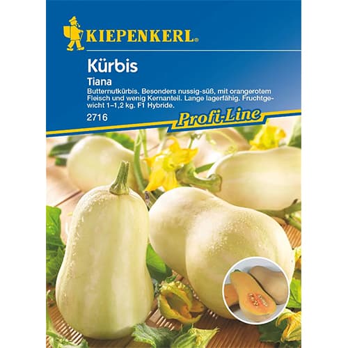 Kürbis Tiana F1 interface.image 1 interface.art 87282