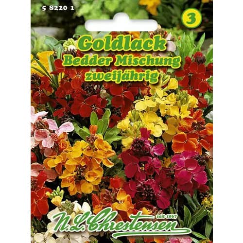 Goldlack Bedder Mischung interface.art Bild 1 Goldlack Bedder Mischung interface.image 1 interface.art 96410