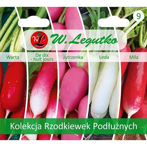 Längliche Rettiche - Kollektion interface.art Bild 1 Längliche Rettiche - Kollektion interface.image 1 interface.art 96792