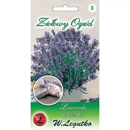 Lavendel Legutko interface.image 1 interface.art 69675