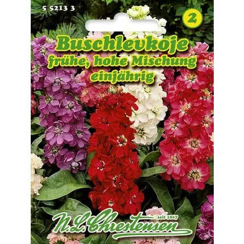 Buschlevkoje frühe hohe Mischung interface.image 1 interface.art 96438