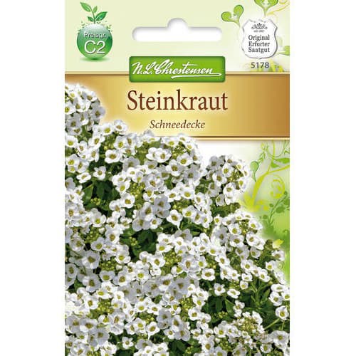 Steinkraut Schneedecke interface.art Bild 1 Steinkraut Schneedecke interface.image 1 interface.art 78920