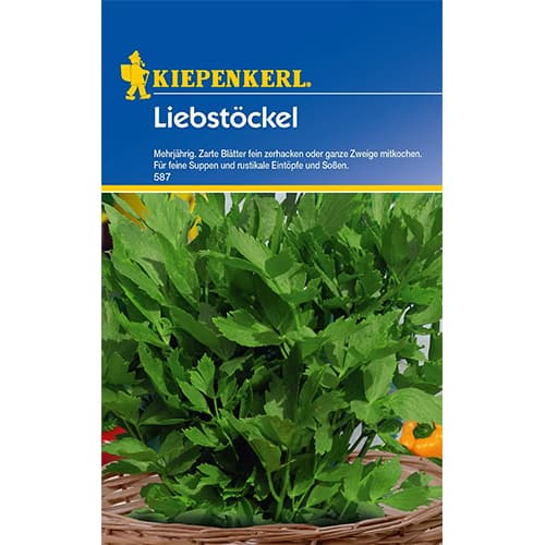 Liebstöckel Mehrjährig interface.image 1 interface.art 77473