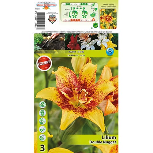 Lilie Double Nugget interface.image 1 interface.art 77820